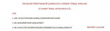 Türkçe Dersi Vize Soruları - 2013