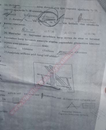 Ahşap Teknolojisi Dersi Final Soruları - 2015