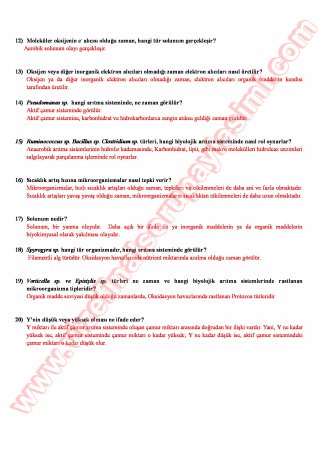 Çevre Mikrobiyolojisi 2 Final Soruları Ve Cevapları-2012