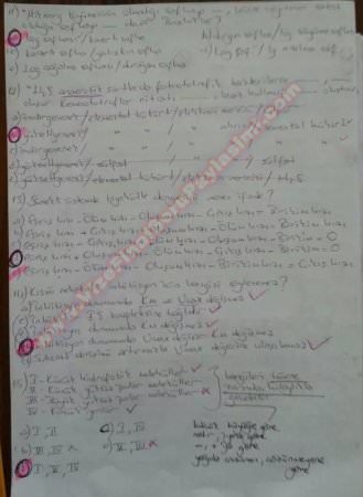 Çevre Mikrobiyolojisi Final Soruları ve Cevapları