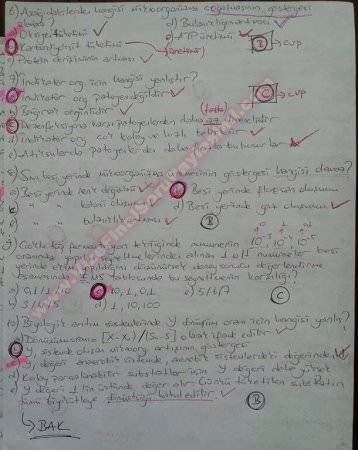 Çevre Mikrobiyolojisi Final Soruları ve Cevapları