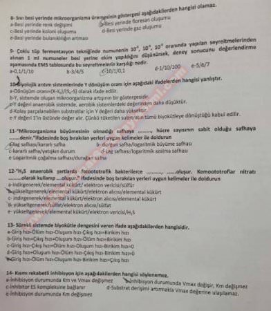 Çevre Mikrobiyolojisi Final Soruları ve Cevapları
