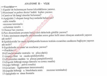 Anatomi -2 Vize Soruları - F.Ü.