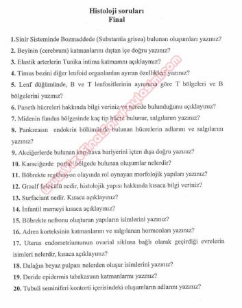 Histoloji Dersi Final Soruları