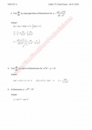 Calculus for Business and Economics-1 Final Exam Questions and Solutions