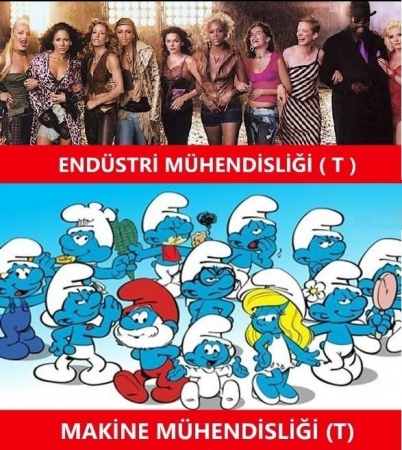 Endüstri Mühendisliği (T) & Makine Mühendisliği (T)