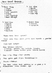 Adalet Meslek Etiği ( AÖF )