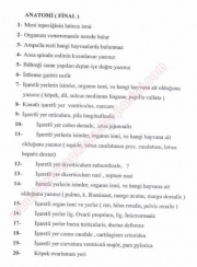 Anatomi Dersi Final Soruları