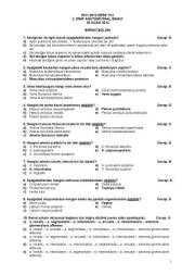 Anatomi Dersi Sınav Soruları ve Cevapları