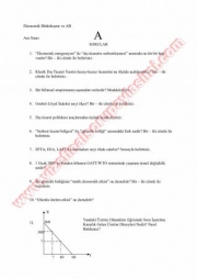 Ekonomik Bütünleşme Ve AB Vize Soruları