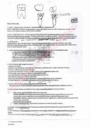 Endodontiye Giriş Final Soruları
