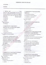 Girişimcilik-1 Vize Sorular (20 Soru)