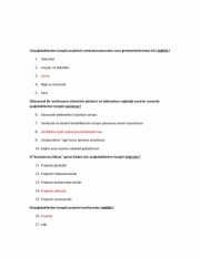 Girişimcilik ve Proje Yönetimi Vize Soruları ve Cevapları