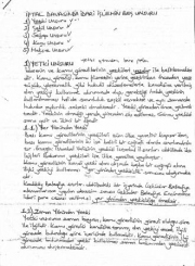 İdari Yargı