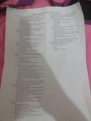 İnsan Hakları Hukuku Final Soruları