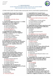 Kamu Ekonomisi Final Soruları ve Cevapları