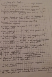 Kamu Ekonomisi Final Soruları ve Cevapları