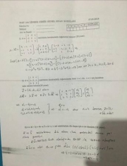 Liner Cebir Final Soruları