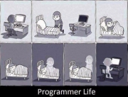 Programmer Life