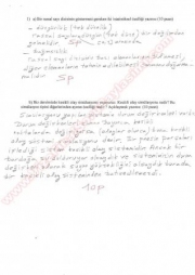 Simülasyon Vize Soru Ve Cevapları