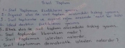 Sivil Toplum Dersi Vize Final Çalışma Soruları