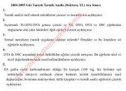Termik Analiz Dersi Vize Soruları