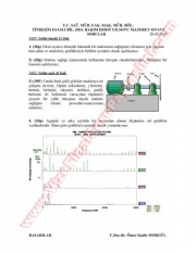 Titreşim Esaslı Bilgisayar Destekli Bakım Dersi Mazeret Soruları Ve Cevapları-2008