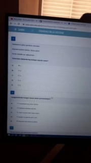 Türk Dili Dersi Vize Soruları