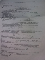 Türkiyenin Yönetim Yapısı Final Soruları