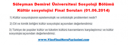 Kültür Sosyolojisi Final Soruları - 01.06.2014