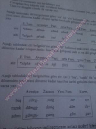 Zaza Dili Tarihi Dersi Final Soruları - 2014