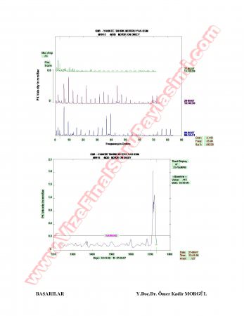 Titreşim Esaslı Bilgisayar Destekli Bakım Dersi Mazeret Soruları Ve Cevapları-2008