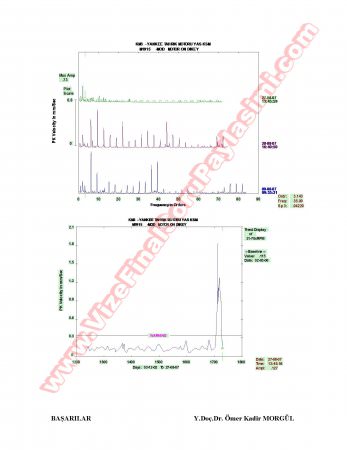 Titreşim Esaslı Bilgisayar Destekli Bakım Dersi Final Soruları Ve Cevapları-2008