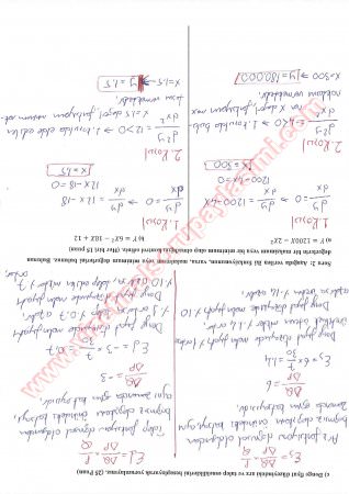İktisadi Matematik Vize Soruları Ve Cevapları-2013