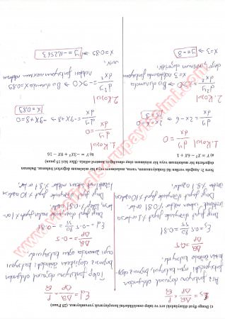 İktisadi Matematik Vize Soruları Ve Cevapları-2013
