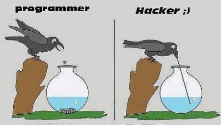 Programmer and Hacker