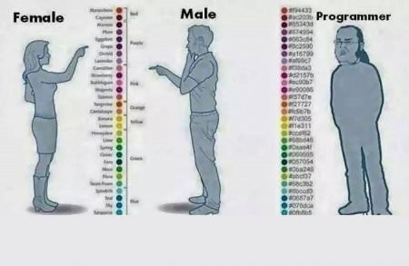 Colors - Famale, Male, Programmer