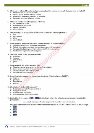 Okan Üniversitesi İngilizce Muafiyet Soruları -2