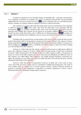 Okan Üniversitesi İngilizce Muafiyet Soruları -2