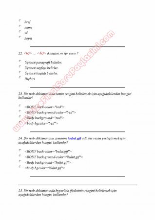 İnternet Programcılığı -1 Dersi Çalışma Soruları