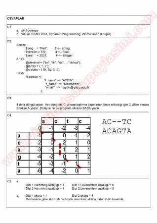 Biyoenformatiğe Giriş Vize Soruları Ve Cevapları