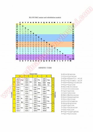 Biyotip Vize Soruları