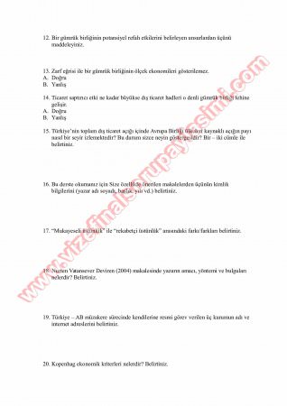 Ekonomik Bütünleşme Ve AB Vize Soruları