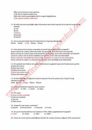 Web Tasarım Final Soruları Ve Cevapları