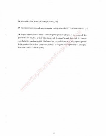 Genetik Dersi Final Soruları