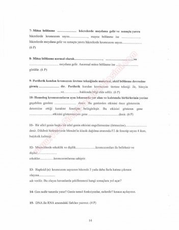 Genetik Dersi Final Soruları