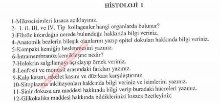 Histoloji Dersi Sınav Soruları - F.Ü.