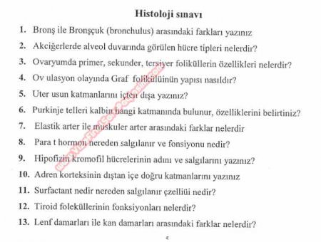 Histoloji Dersi Çıkmış Sınav Sorular - Fırat Üniversitesi