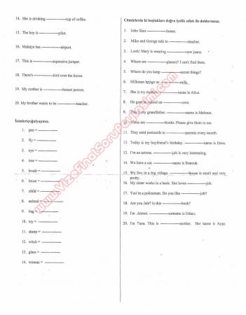 İngilizce Dersi Çıkmış Sorular -1