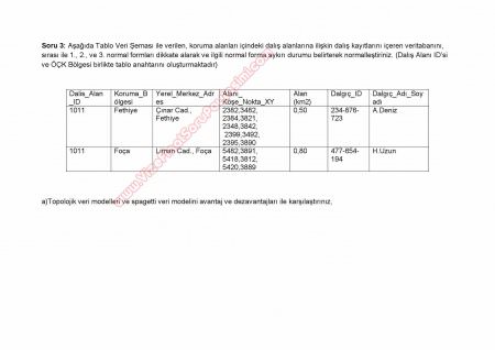 Coğrafi Bilgi Sistemlerine Giriş Sınav Soruları